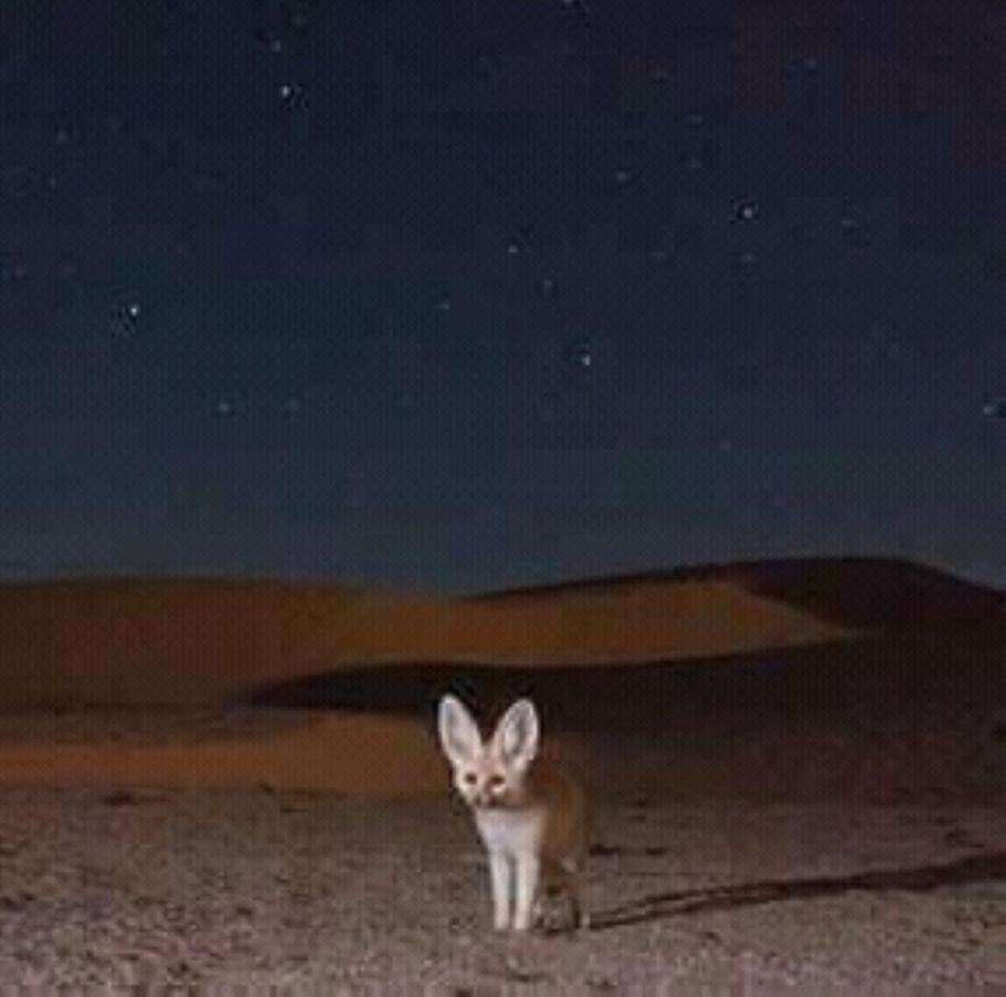 Restcamp Ergchebbi Hotell Merzouga Eksteriør bilde