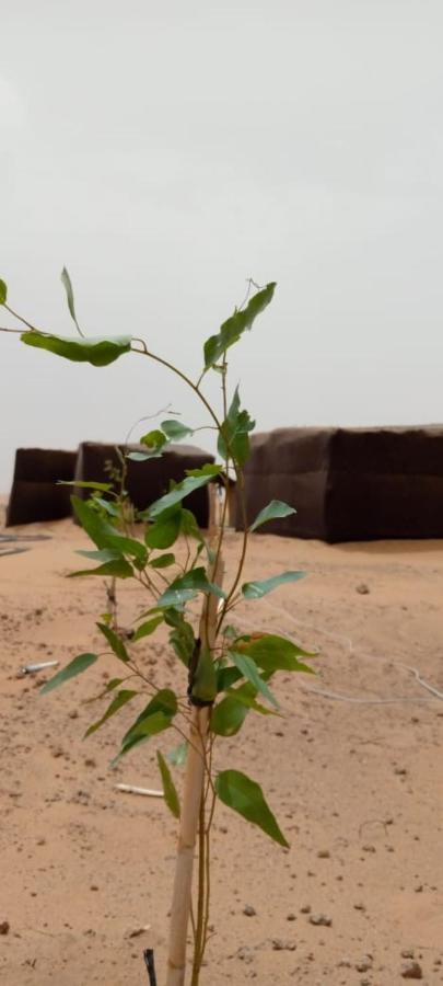 Restcamp Ergchebbi Hotell Merzouga Eksteriør bilde