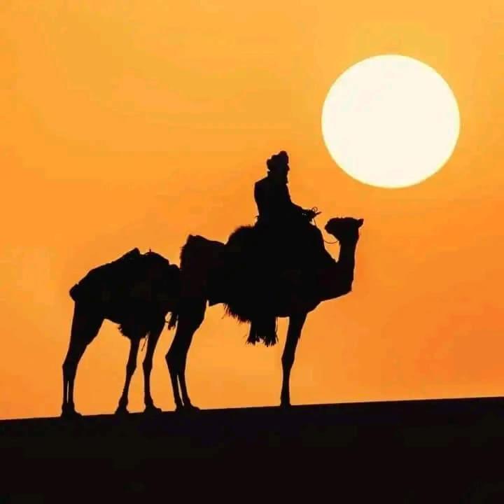Restcamp Ergchebbi Hotell Merzouga Eksteriør bilde